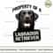 Property of a labrador retriever.jpg