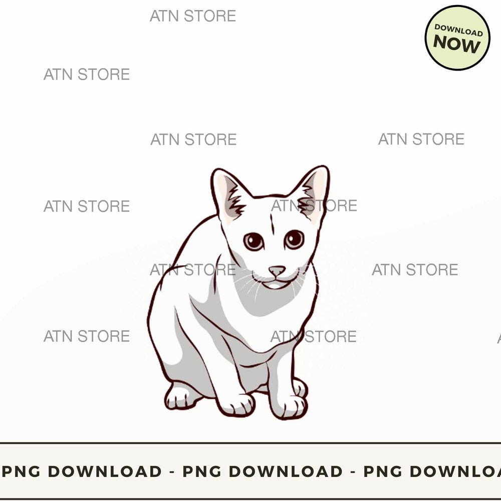 Oriental Shorthair.jpg