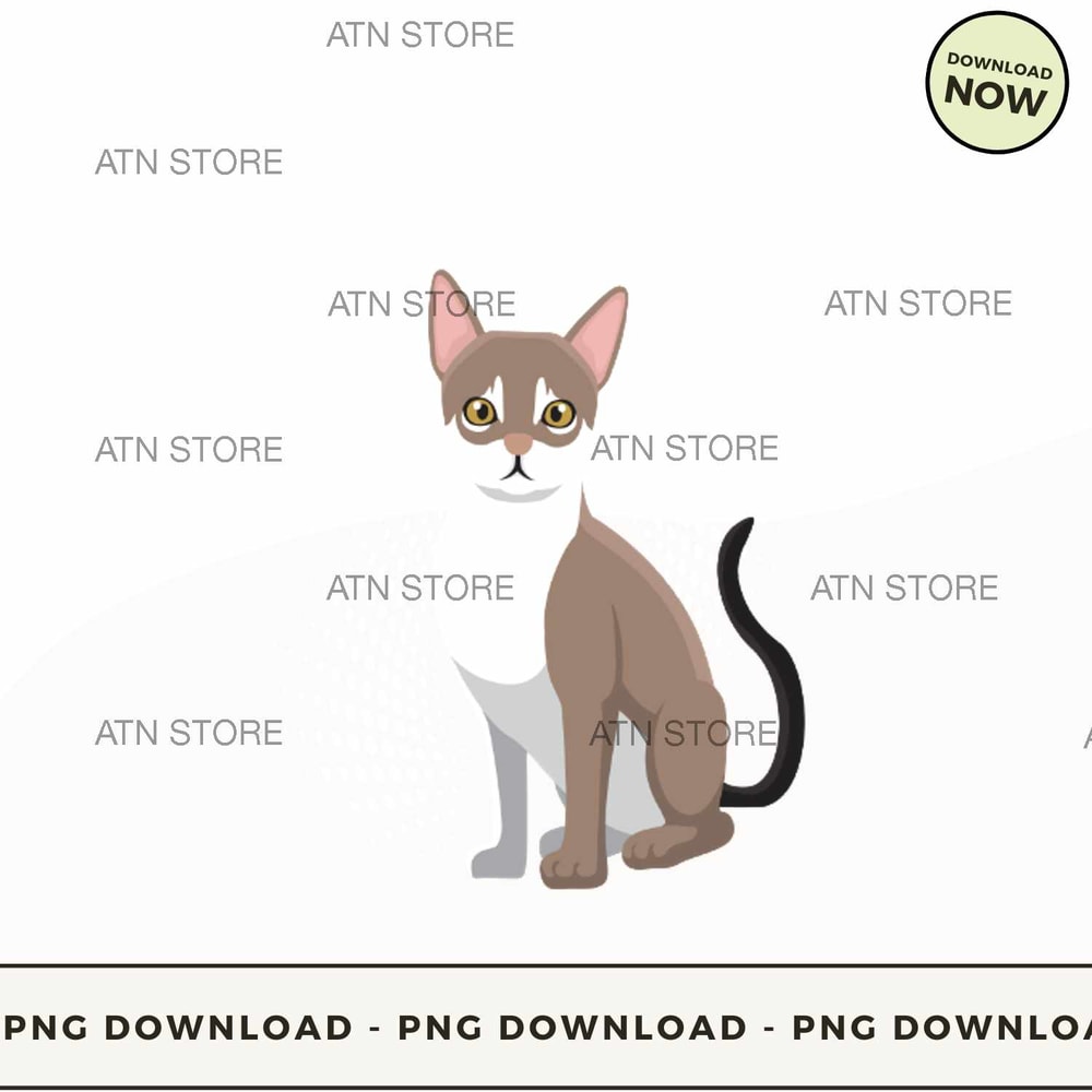 Mother of singapura.jpg