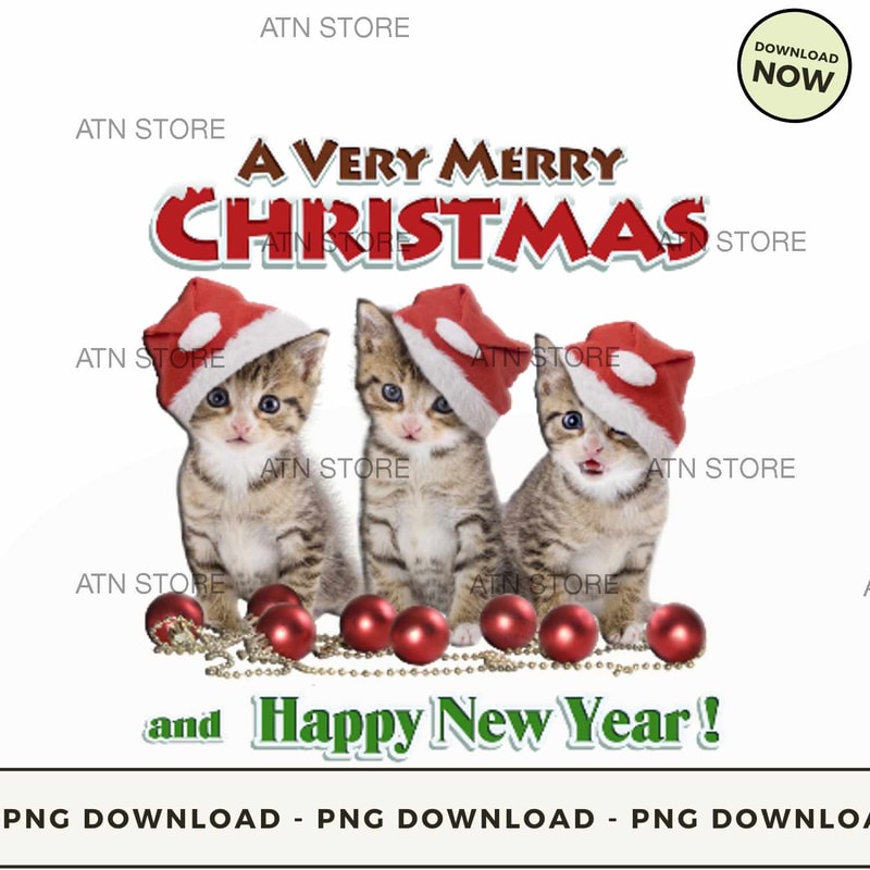 Merry christmas and happy new year.jpg