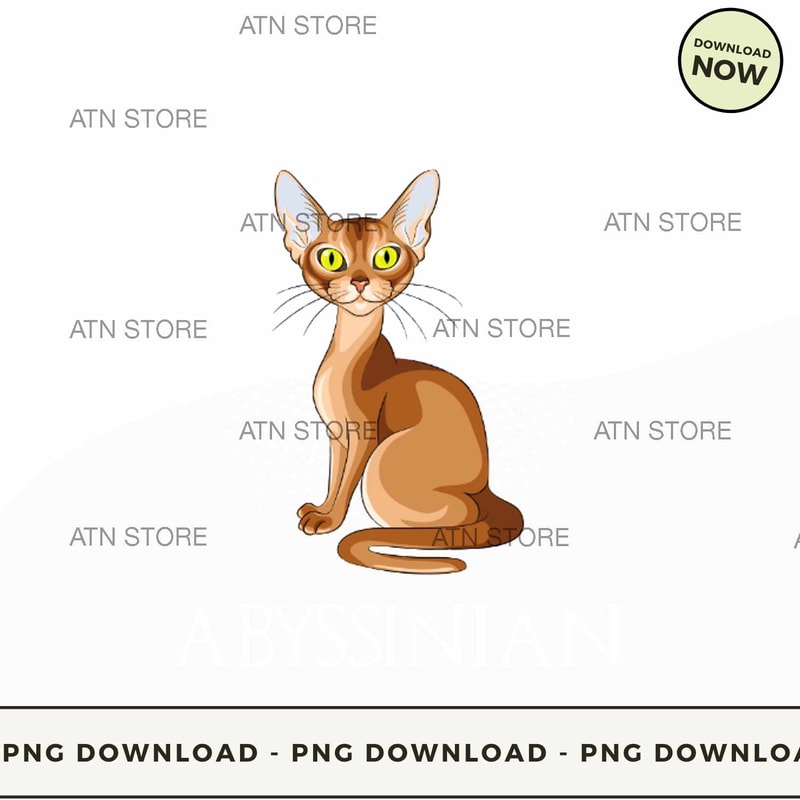 Mother of Abyssinian.jpg