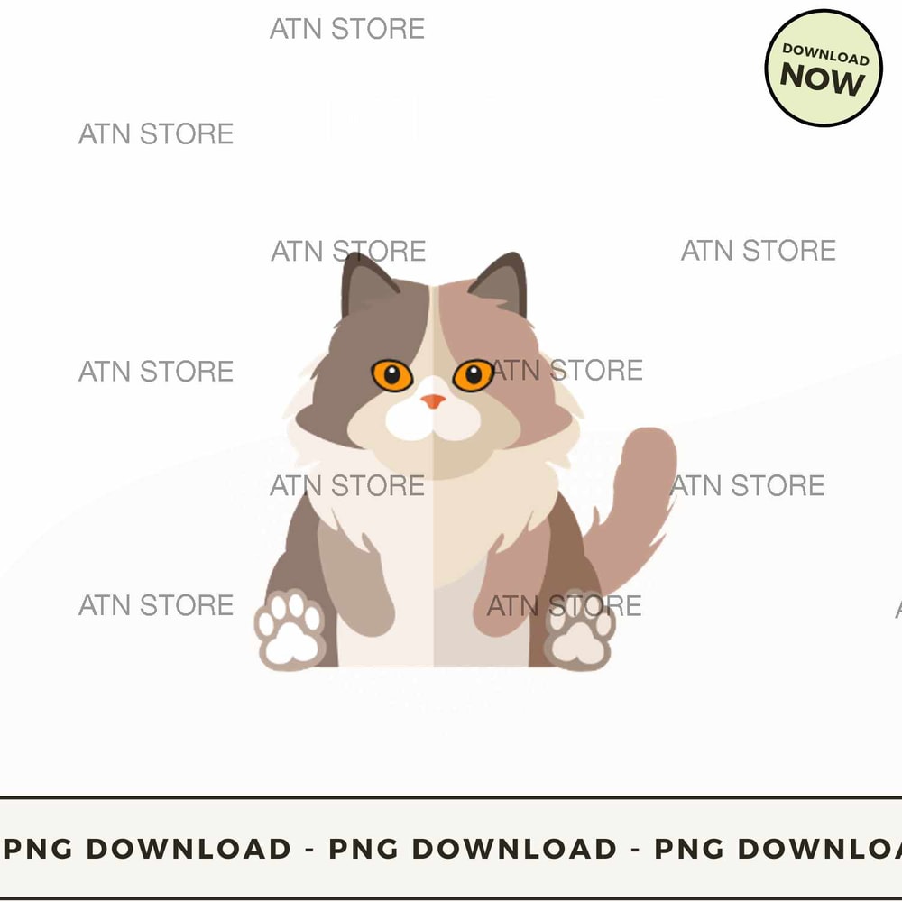 Mother of british longhair.jpg