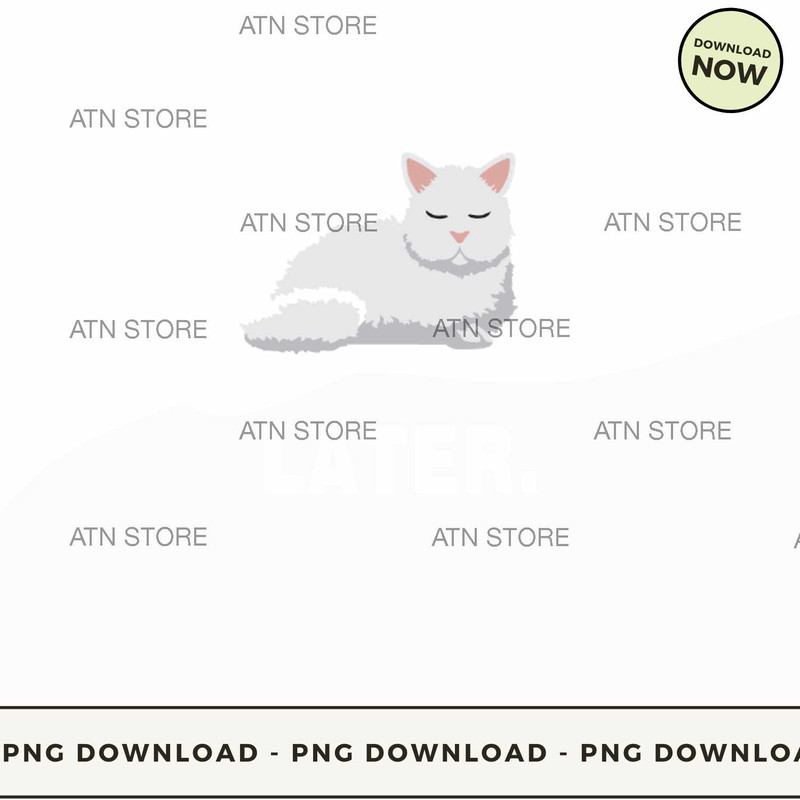 Just do it later.jpg