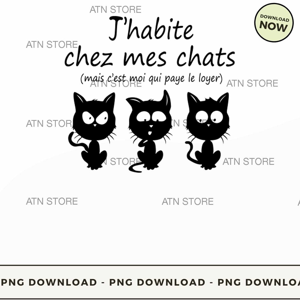 jhabite chez mes chats.jpg