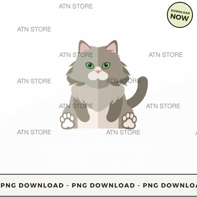 Mother of norwegian forest cat.jpg