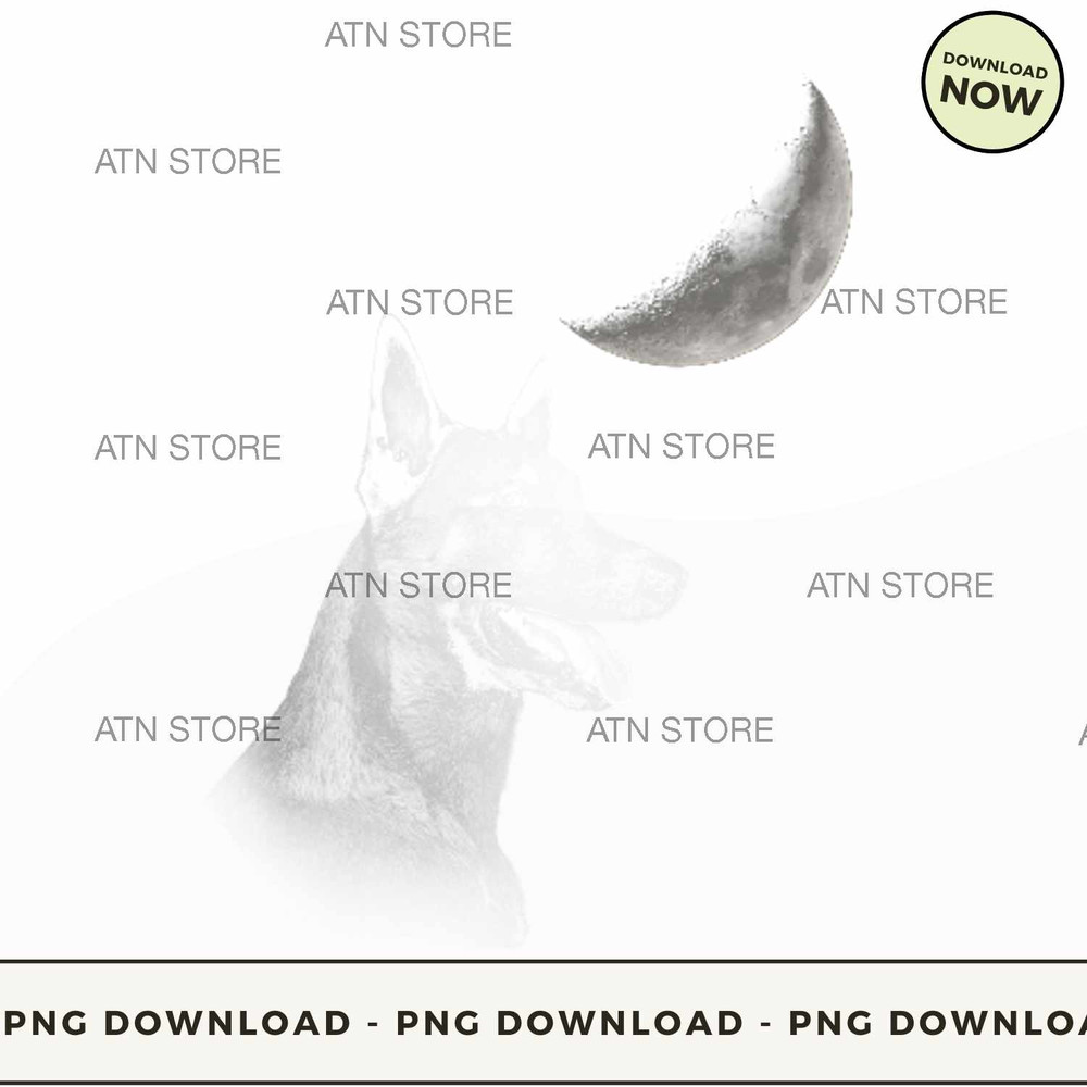 Belgian shepherd under the moon.jpg