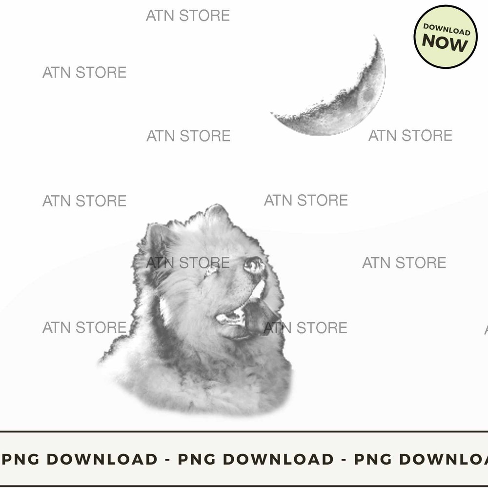 chow chow looking at the moon.jpg