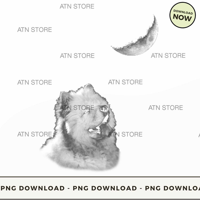 chow chow looking at the moon.jpg