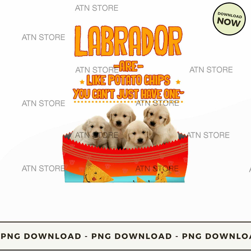 Labrador are like potato chips.jpg