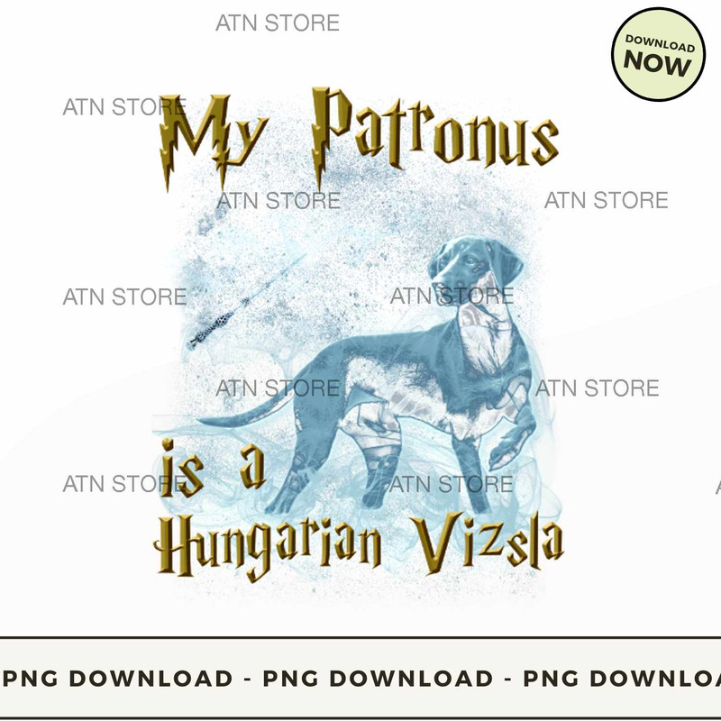 Hungarian Vizsla.jpg