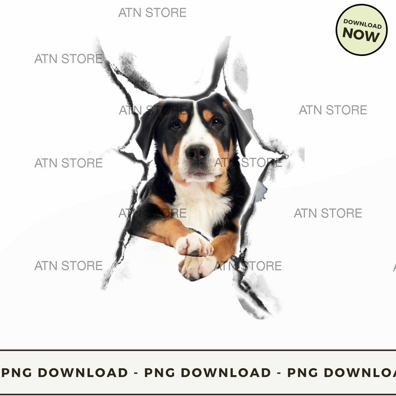 Greater Swiss Mountain Dog 3D.jpg