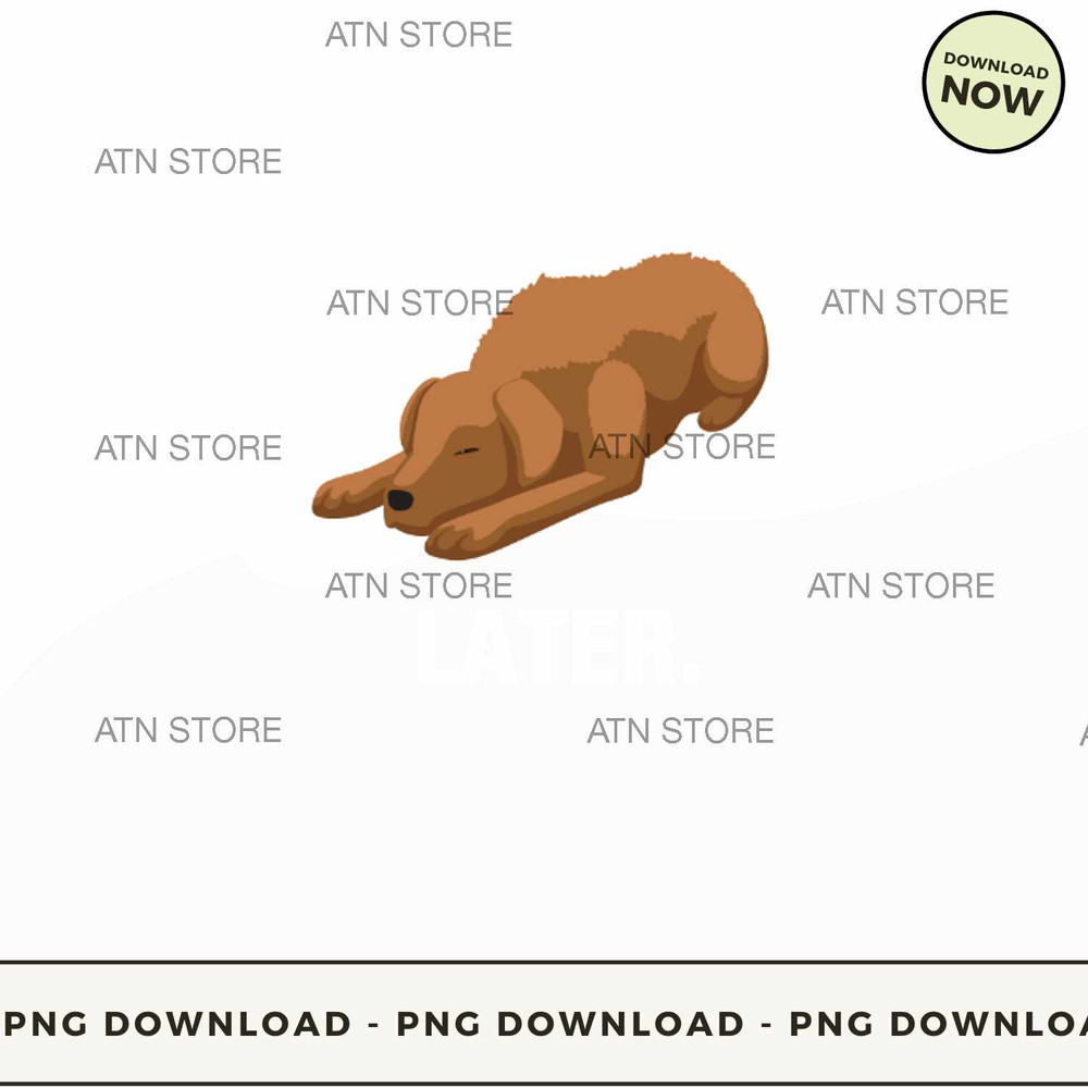 Chesapeake Bay Retriever.jpg