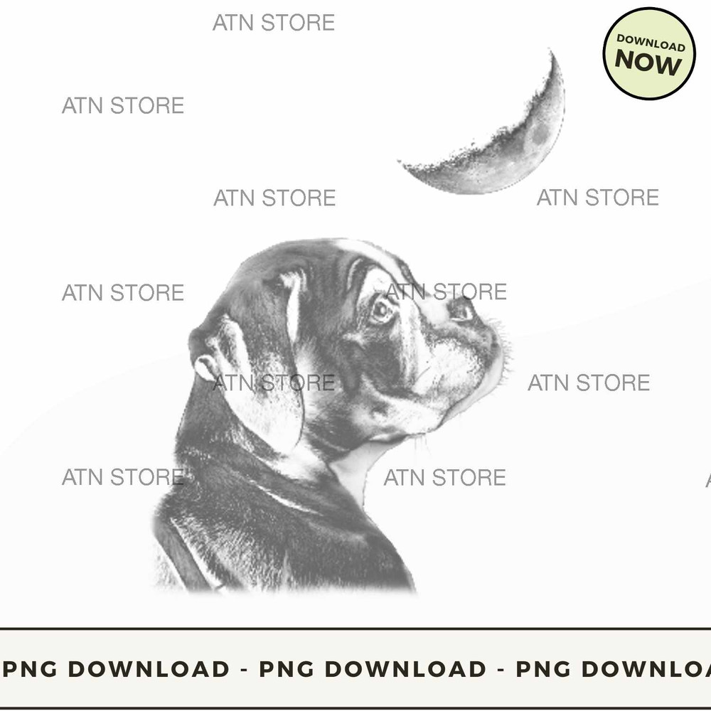 boxer dog looking up at crescent moon.jpg