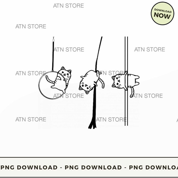 CUTE AERIALIST CAT.jpg