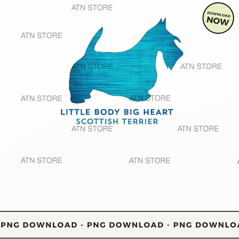 Scottish terrier.jpg