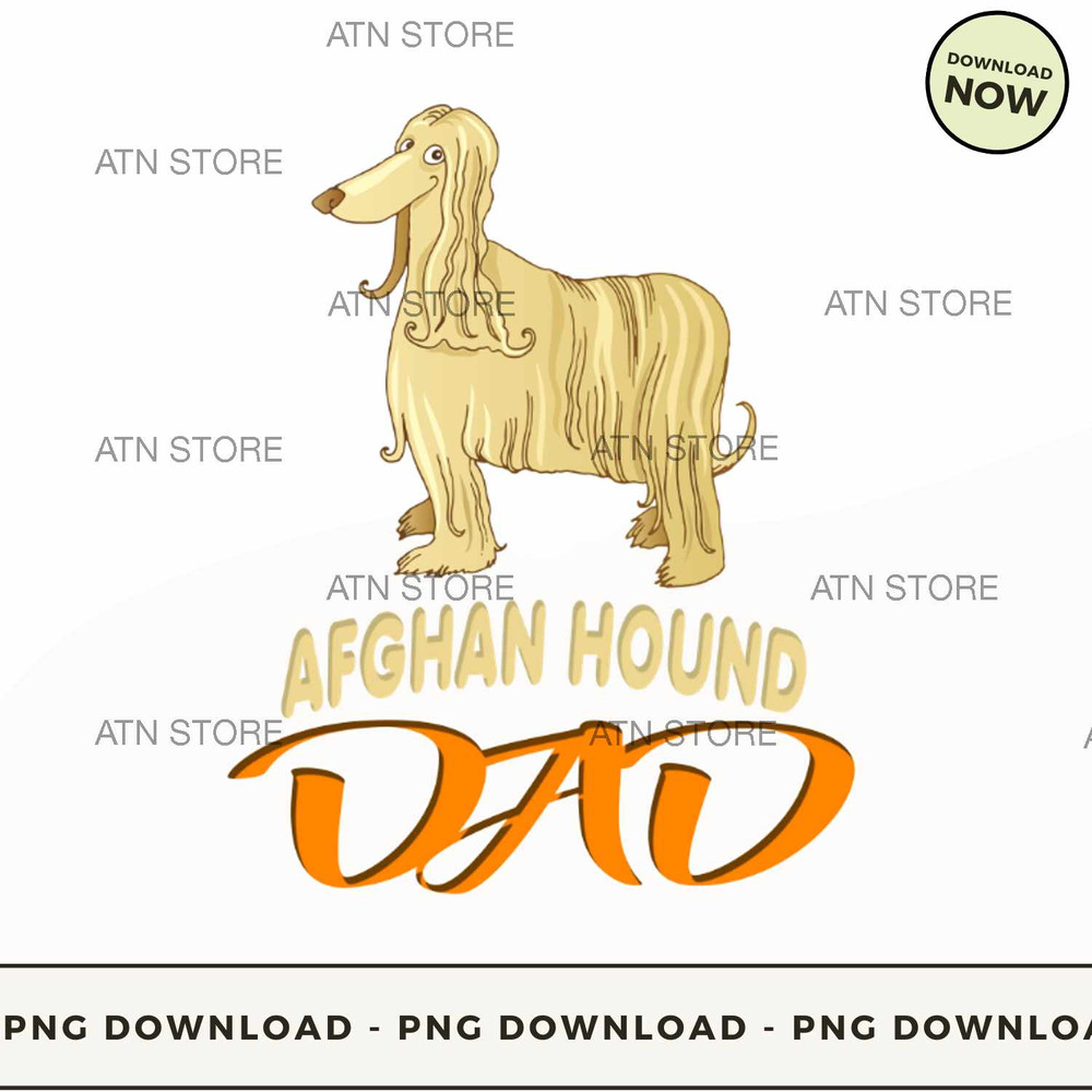 Purebred Afghan Hound Dad Dog.jpg