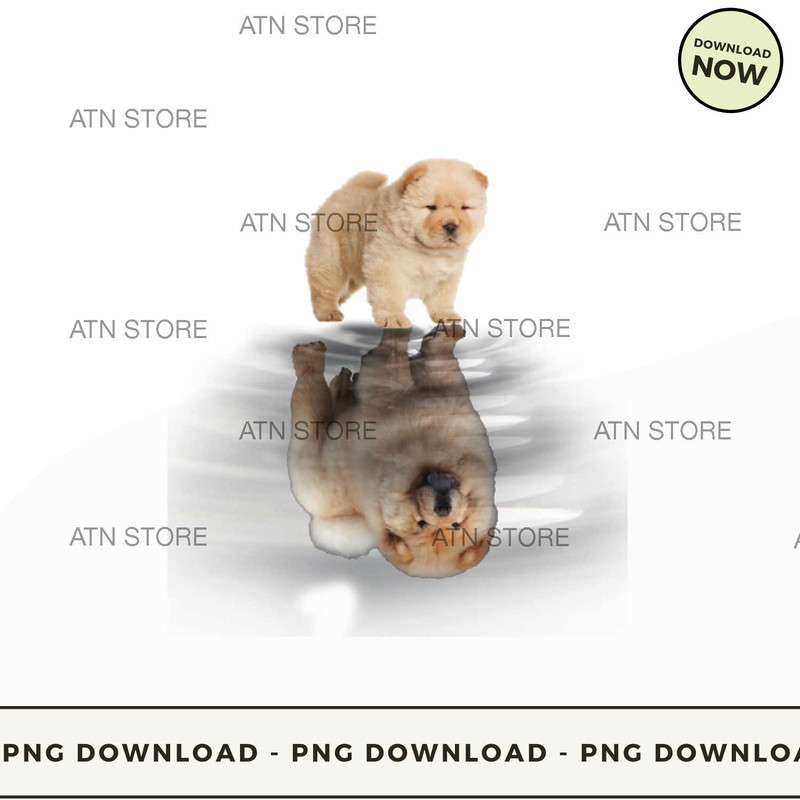 chouchou reflection.jpg