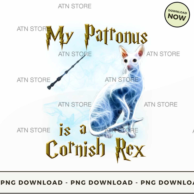 My patronus is a Cornish rex.jpg