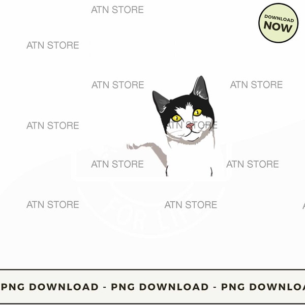 Friend for life Cat.jpg