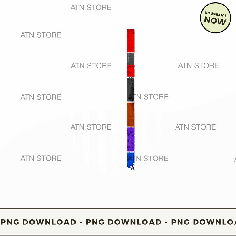 Jiujitsu Belts American Flag Hoodie Swe.jpg