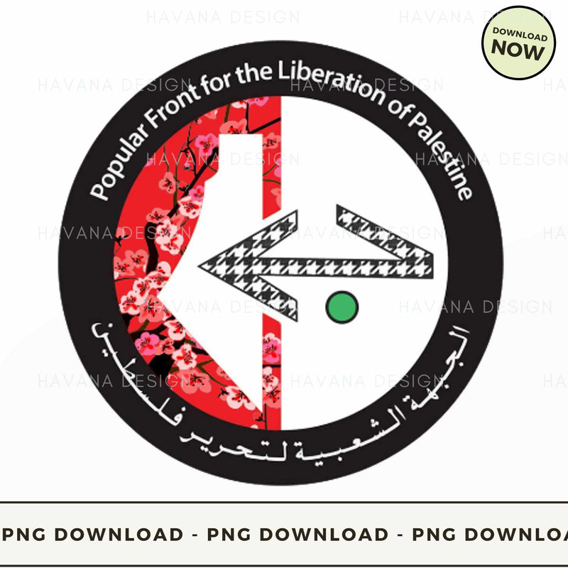PFLP 2.jpg