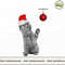 Xmas cat.jpg