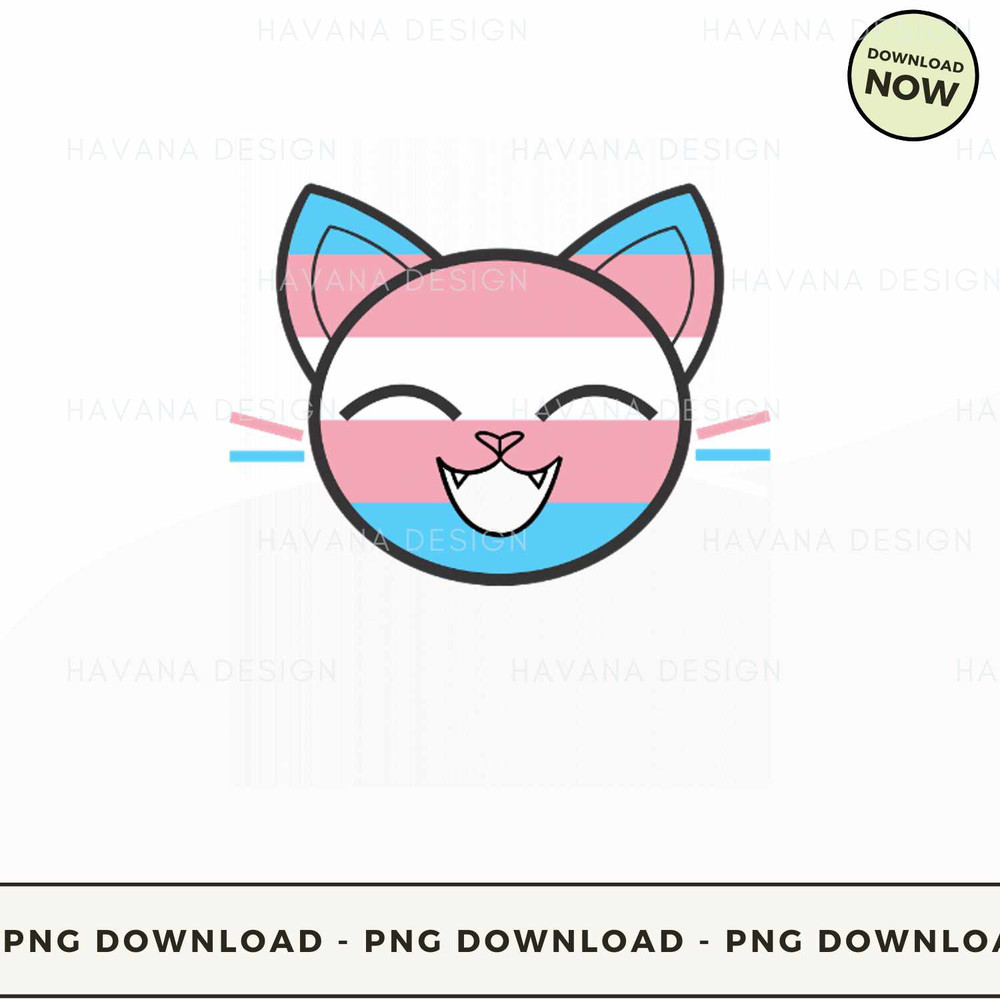 Trans cat.jpg