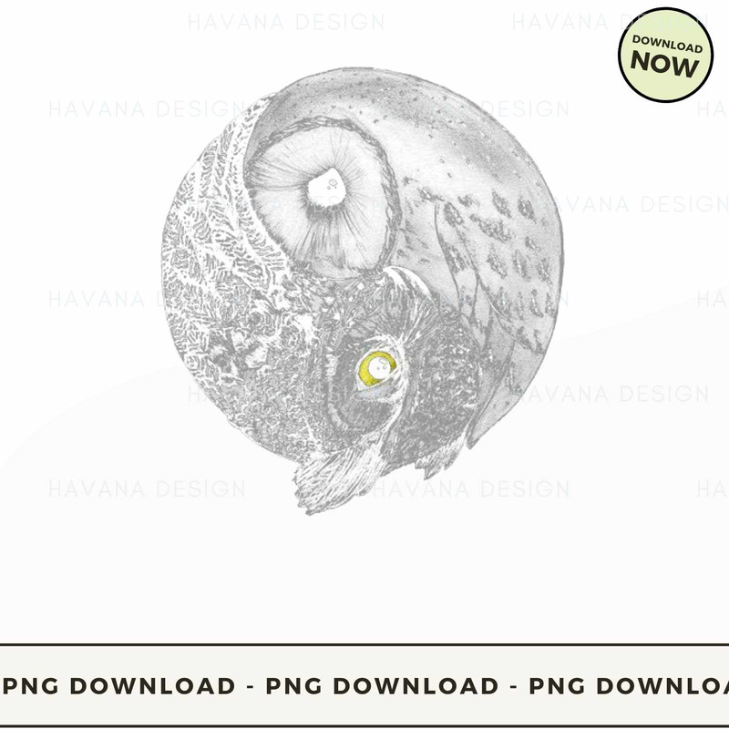 OWL YIN YANG.jpg