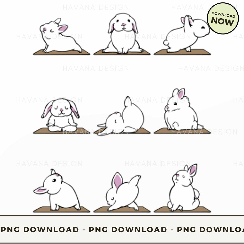 Bunnies Yoga.jpg