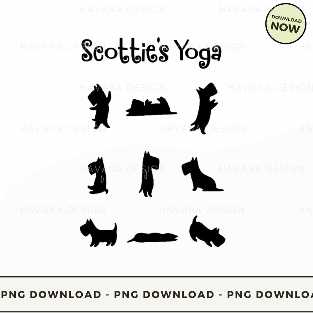 Scotties yoga.jpg
