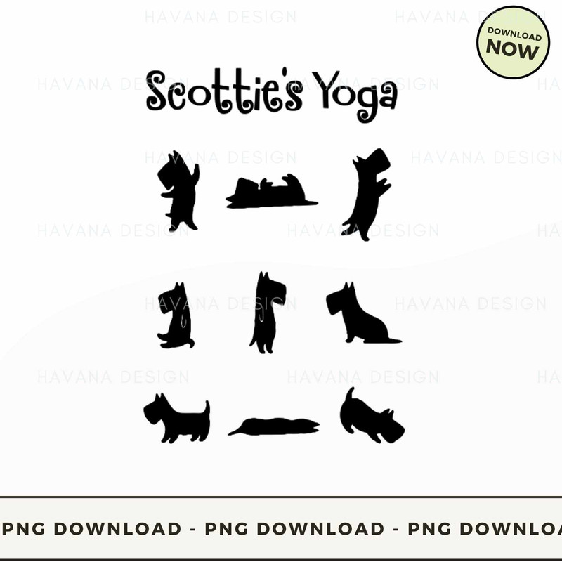 Scotties yoga.jpg