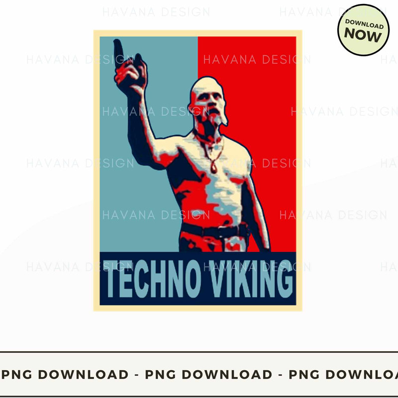 Techno viking.jpg