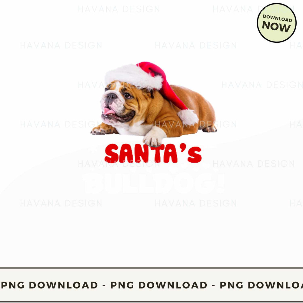 Santas bulldog.jpg