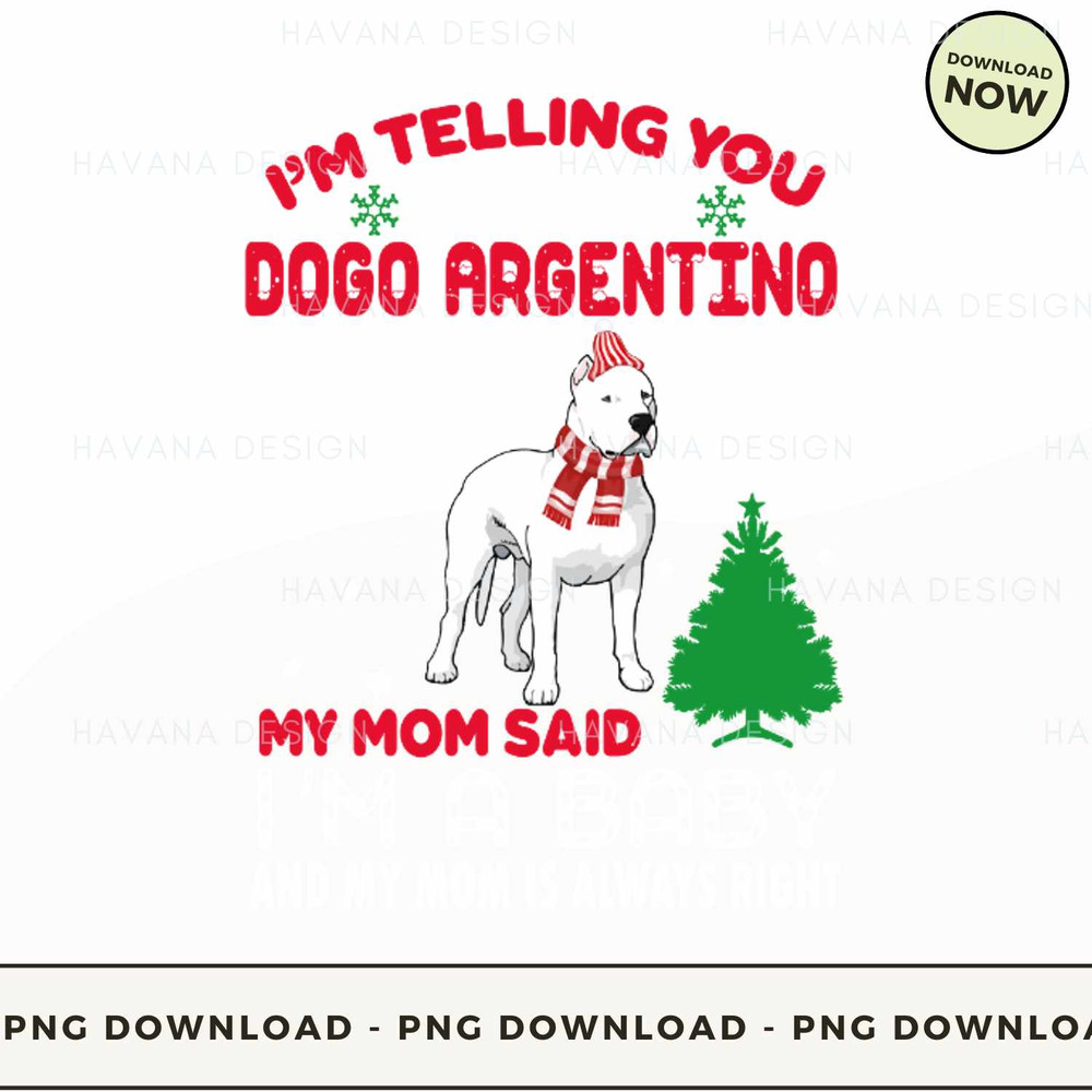 Dogo Argentino.jpg