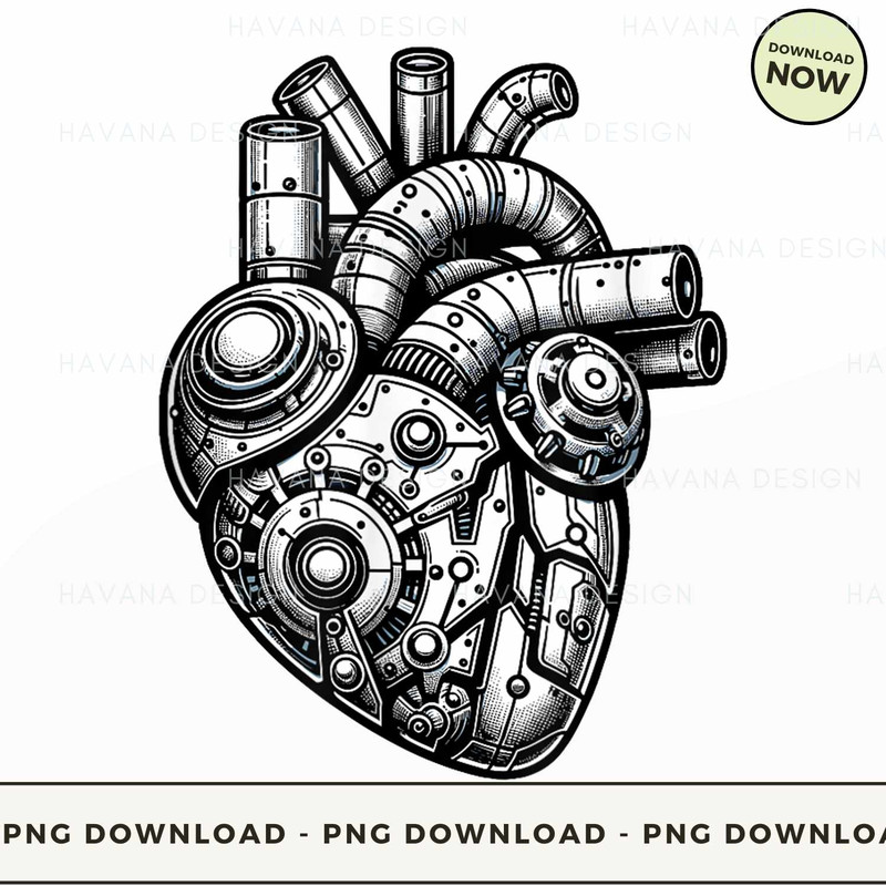 Anatomical Heart Cardiologists Students T Shirt.jpg