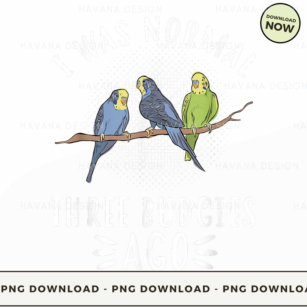 Parakeet Normal Budgies Budgerigar T Shirt.jpg