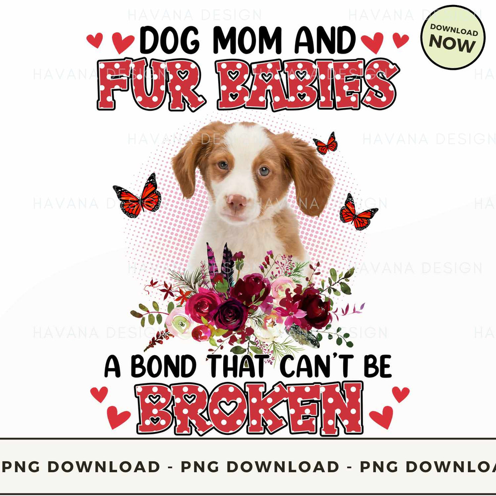 Fur Babies Brittany.jpg