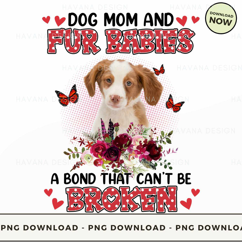 Fur Babies Brittany.jpg