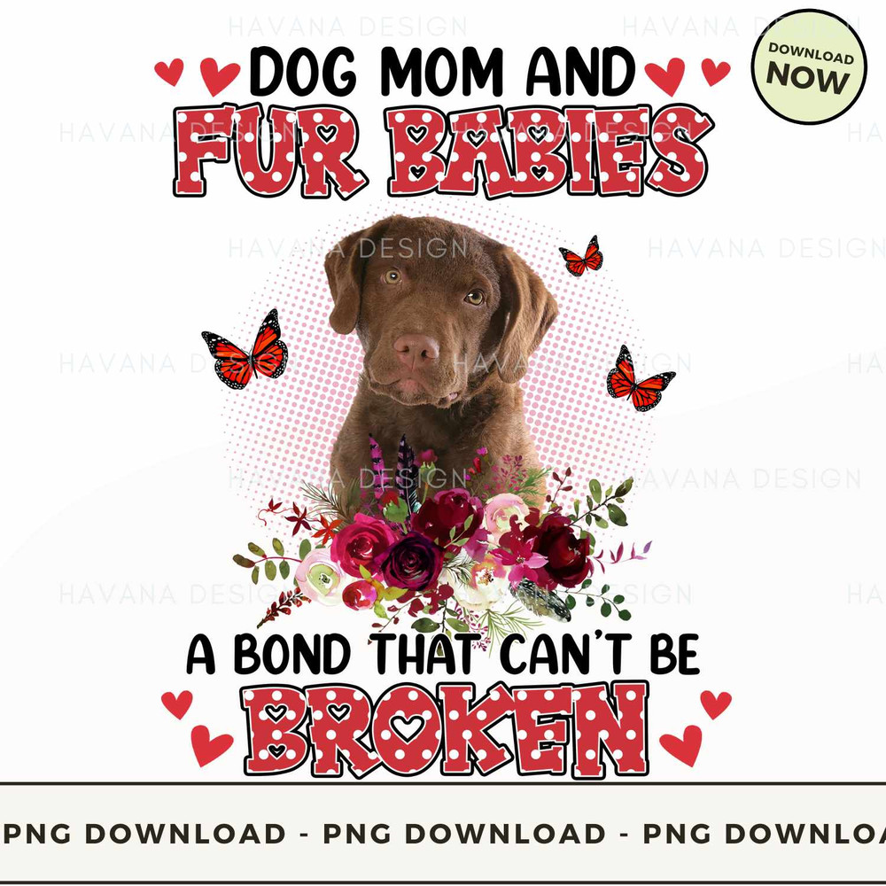 Fur Babies Chesapeake Bay Retriever.jpg