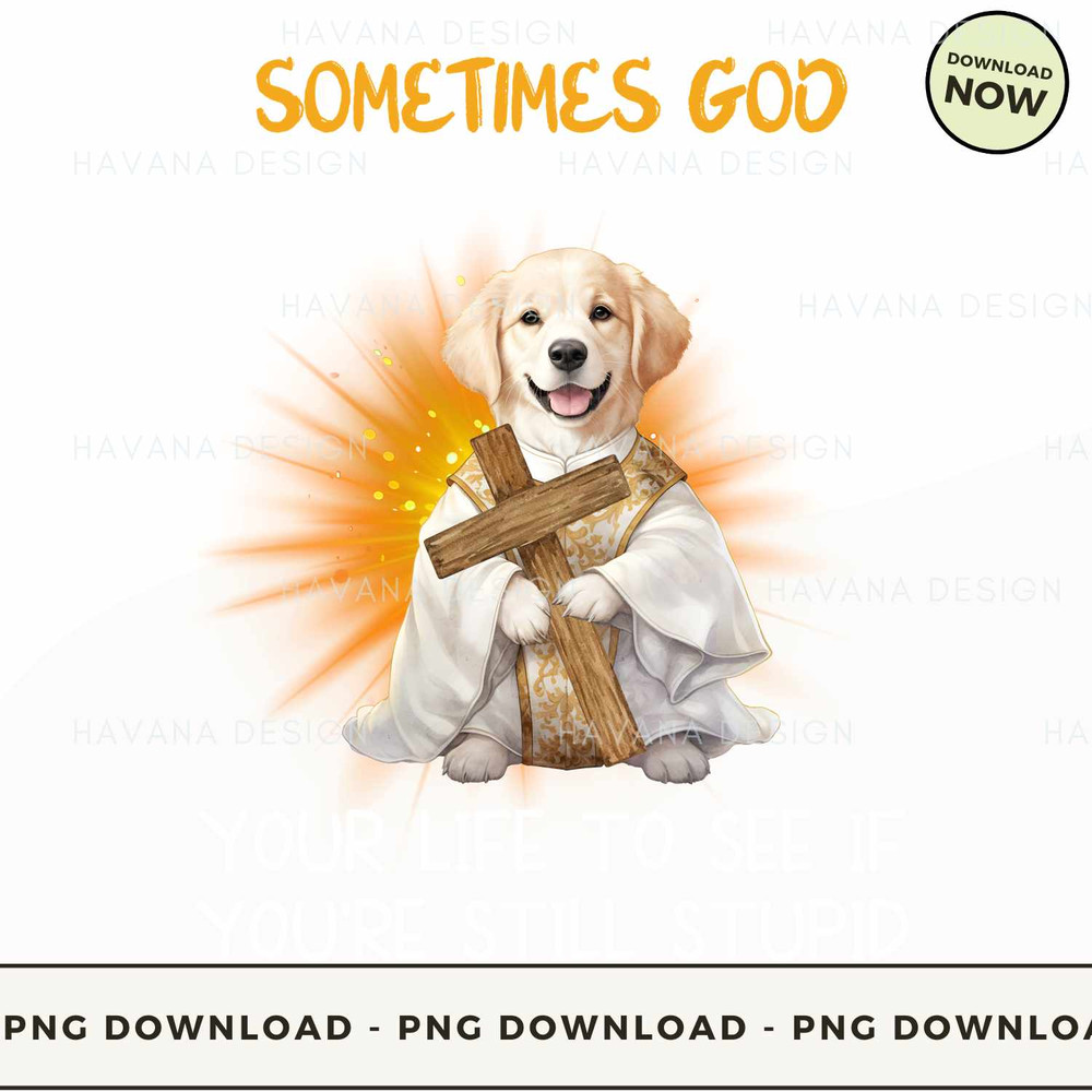 dog-sometimes-god-sends-an-ex-back-into-your-life-to-see-if-you-re.jpg