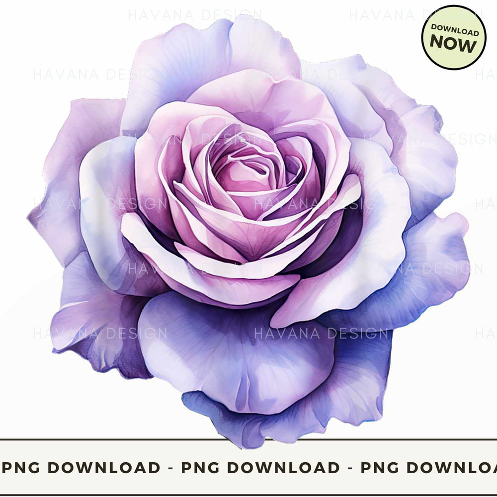 rose flower floral purple T Shirt.jpg