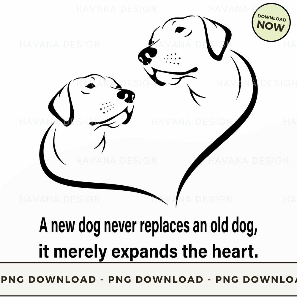 009. A NEW DOG NEVER REPLACES AN OLD DOG.jpg