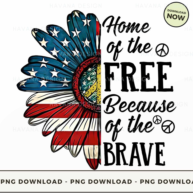 004. HOME OF THE FR-EE BECAUSE OF THE BRAVE.jpg