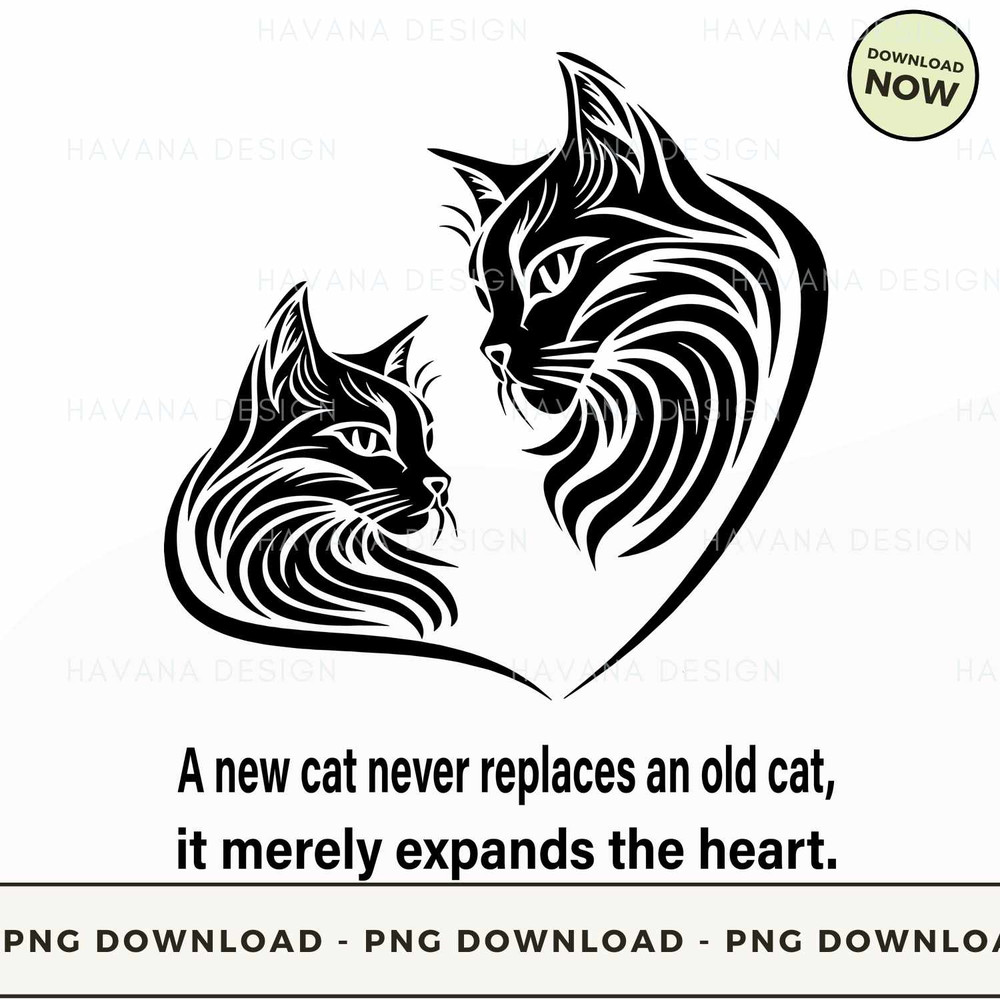 009. A NEW CAT NEVER REPLACES AN OLD CAT.jpg