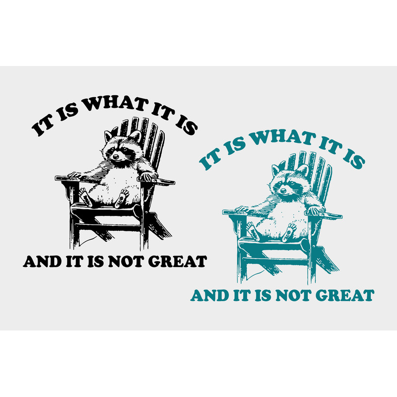 It Is What It Is And It Is Not Great SVG PNG files, Funny Raccoon PNG, Trash Panda Svg, Opossum png, Gifts..jpg