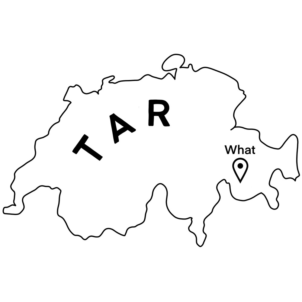 What in Tarnation Funny Tee Sticker PNG SVG Image Digital Download for Cricut and other DIY Crafts.jpg