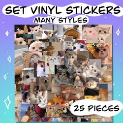 vinyl stickers mood | set of 25 pieces | cute stickers | reusable waterproof