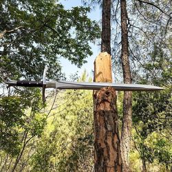Toothpick Sword Handmade Viking Sword Full Tang Carbon Steel Hunting, Camping, Battle Ready Sword