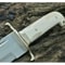Camel Bone Handle Bowie Knife for sale