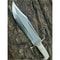 Camel Bone Handle Bowie Knife for sale